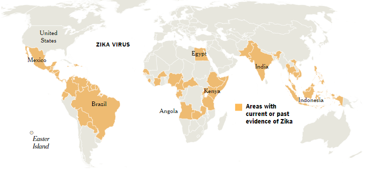 Source: http://www.nytimes.com/interactive/2016/health/what-is-zika-virus.html?_r=0