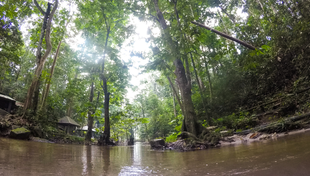 Kak Long Hutan Lipur Sungai Tekala EZTakaful